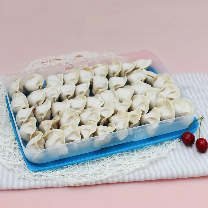 特百惠长方形冷冻保鲜盒650ml密封保鲜冷冻储藏饺子盒