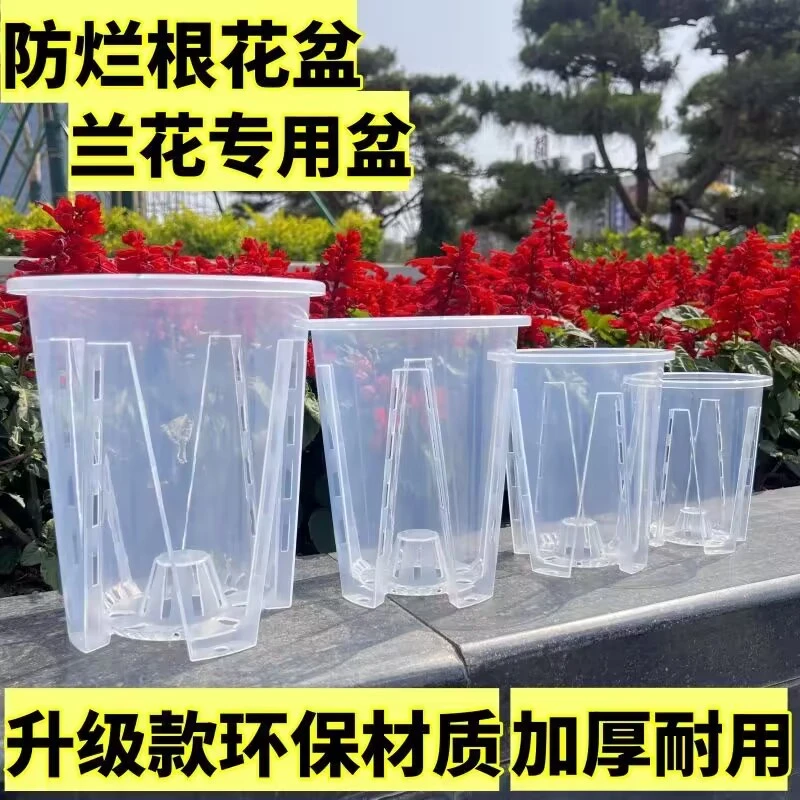 透明青山控根盆兰花水苔蝴蝶兰专用花盆塑料透气镂空大号花盆种植