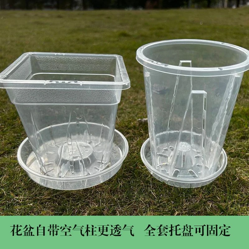 新款透明小方盆加厚塑料花盆蝴蝶兰专用盆郁金香种球绿植盆大口径