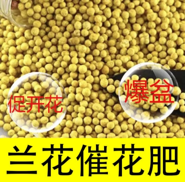【兰花专用肥】促进开花延长花期生根壮苗防治黄叶颗粒缓释有机肥