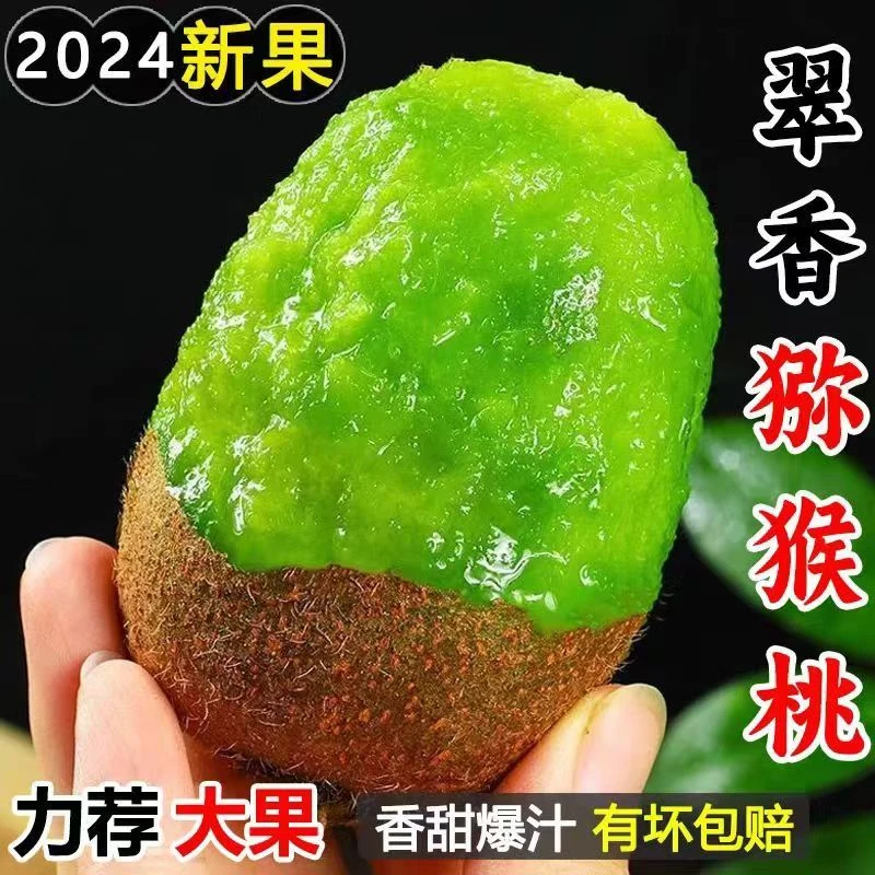 【古槐树下】陕西秦岭周至猕猴桃新鲜水果孕妇当季整箱20枚24枚
