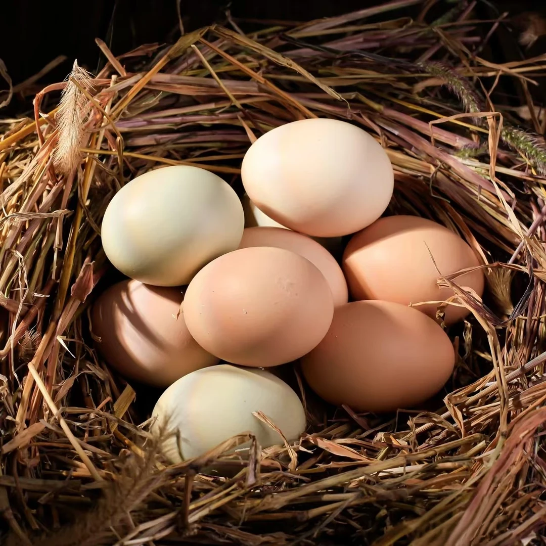 农家土鸡蛋健康农家蛋新鲜蛋正宗散养鸡蛋优选柴鸡蛋散养鸡蛋健康