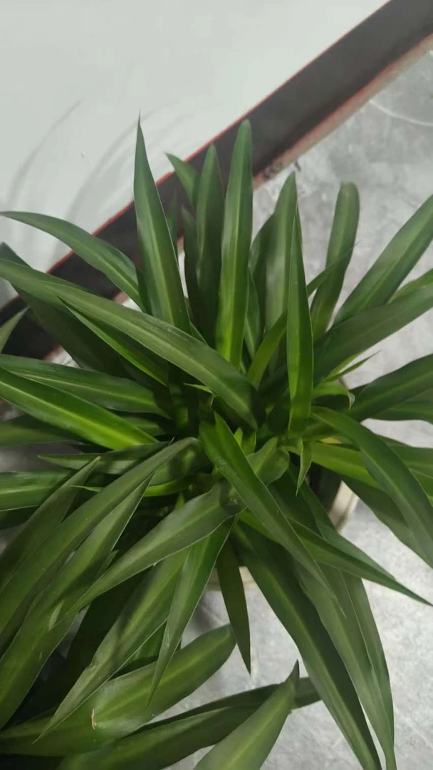 流水摆件1韩格格专属！