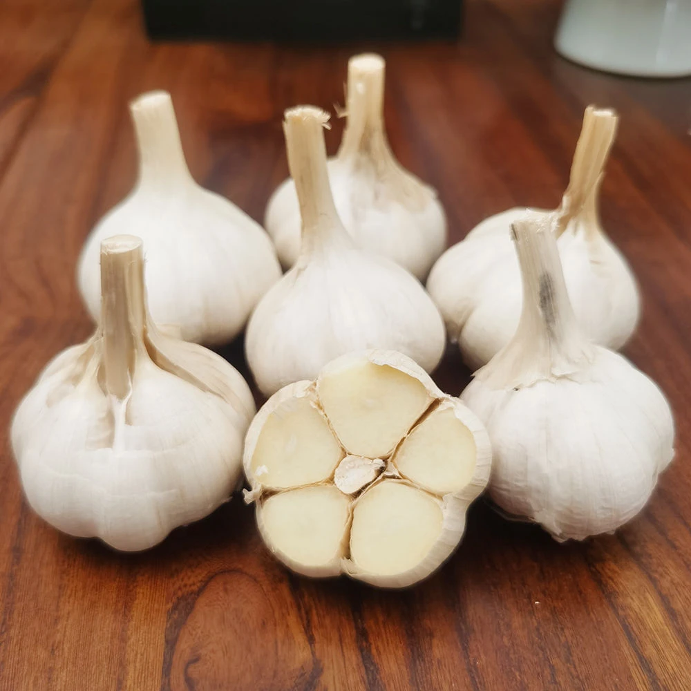 正宗河北永年大蒜干蒜头1500g白皮四六瓣蒜味浓厚粘辣农家自种