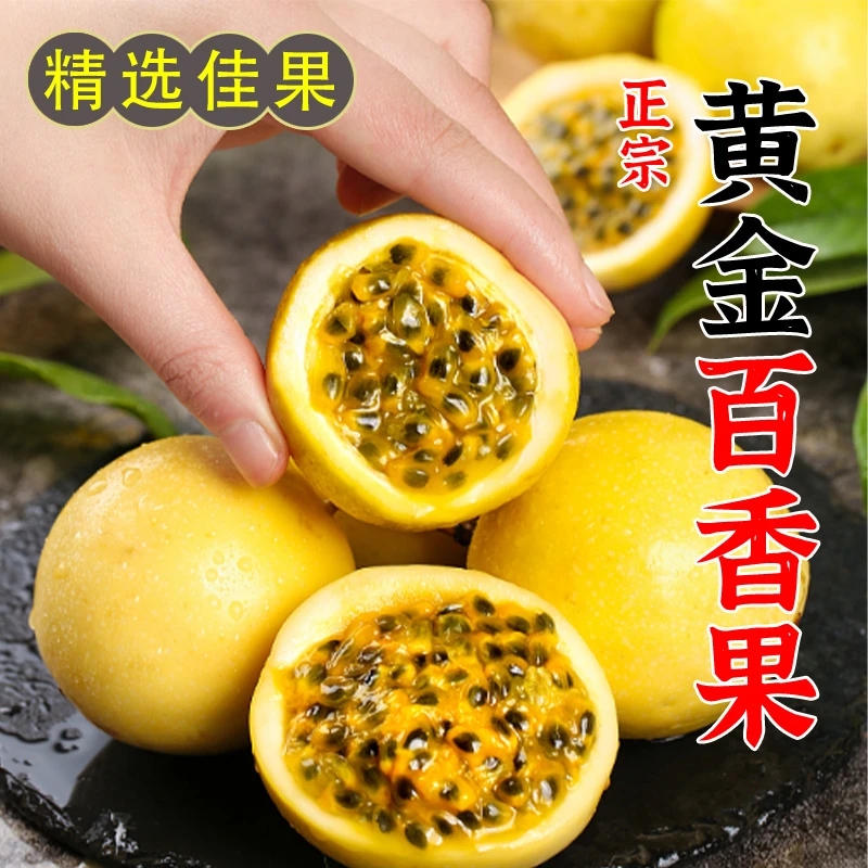 【13个果】广西钦蜜九号黄金百香果新鲜现摘现发蜜甜多汁孕妇水果大