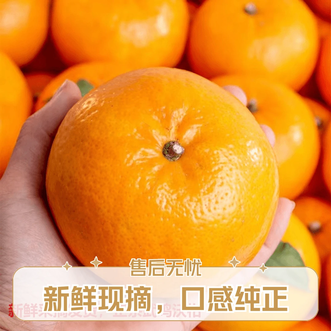 正宗广西武鸣沃柑带箱9斤装头茬鲜果新鲜采摘老人孕妇宝宝水果