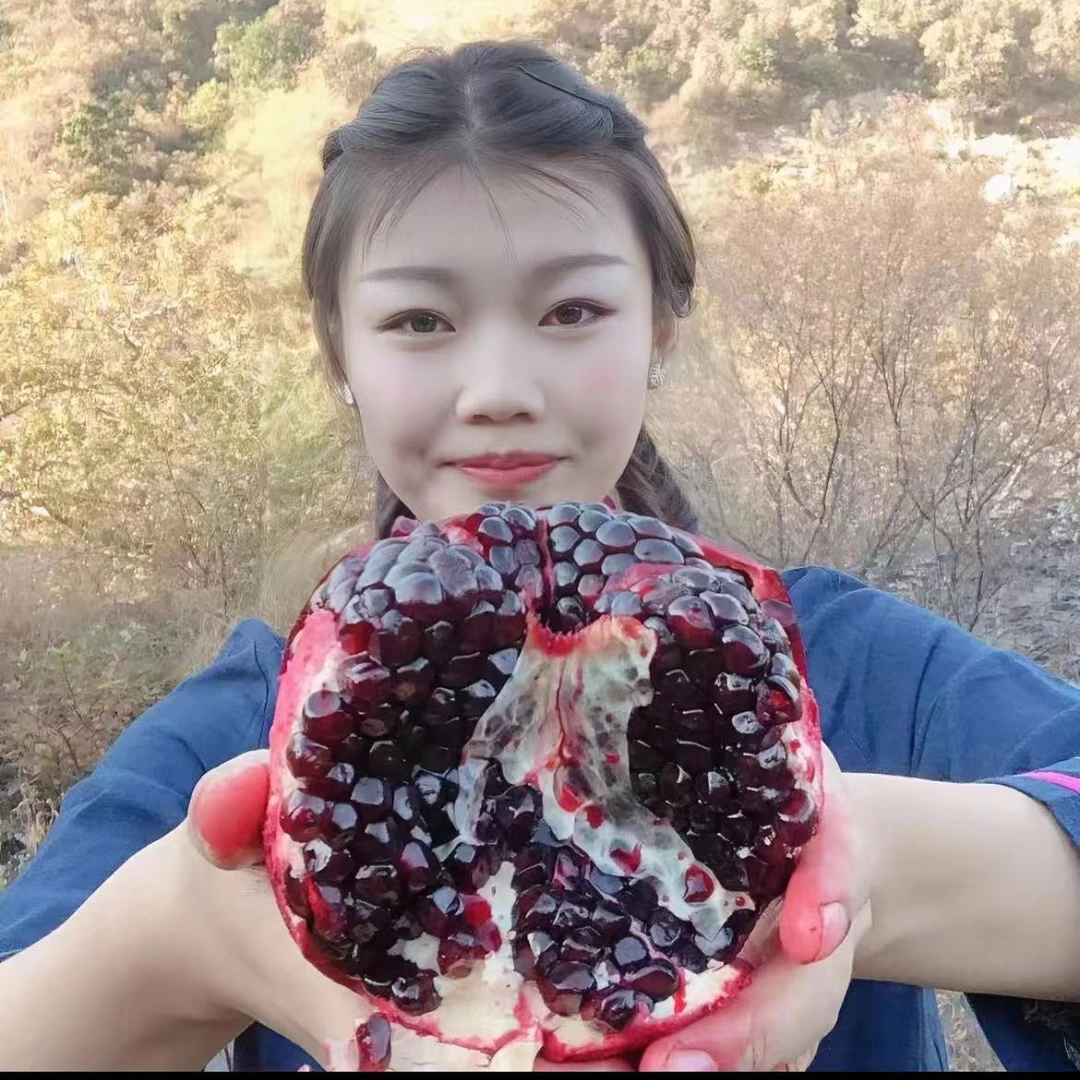 黑子石榴树苗盆栽地栽南北方种植 抗严寒 耐高温