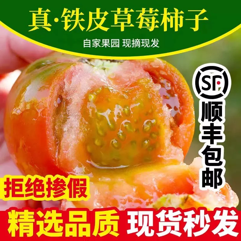 4斤【精品】草莓番茄 碱地西红柿 铁皮西红柿  酸酸甜甜小时候味道番茄同城配