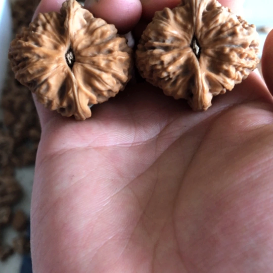 【闪购商品】木核雕網****家