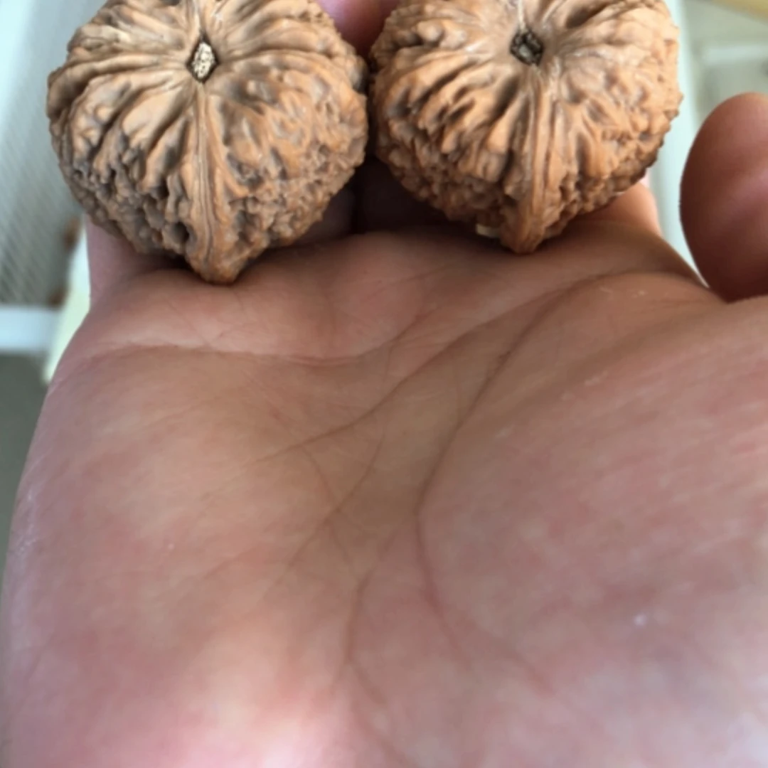 【闪购商品】木核雕不****·