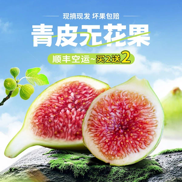 【顺丰空运04Y】威海无花果现摘老树青皮无花果应季新鲜水果