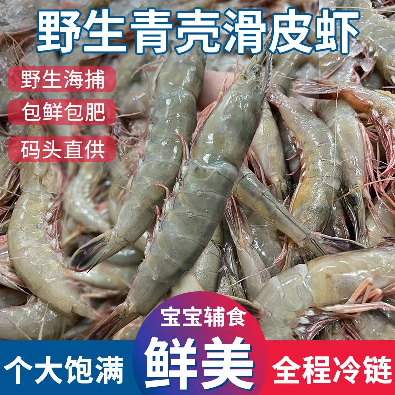 【舟山野生滑皮虾3斤】新鲜中大号1斤80只左右鹰爪虾海虾-顺丰包邮