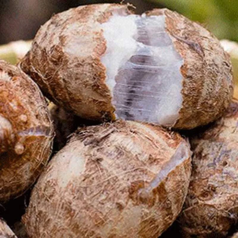 芋头，自己农家种的