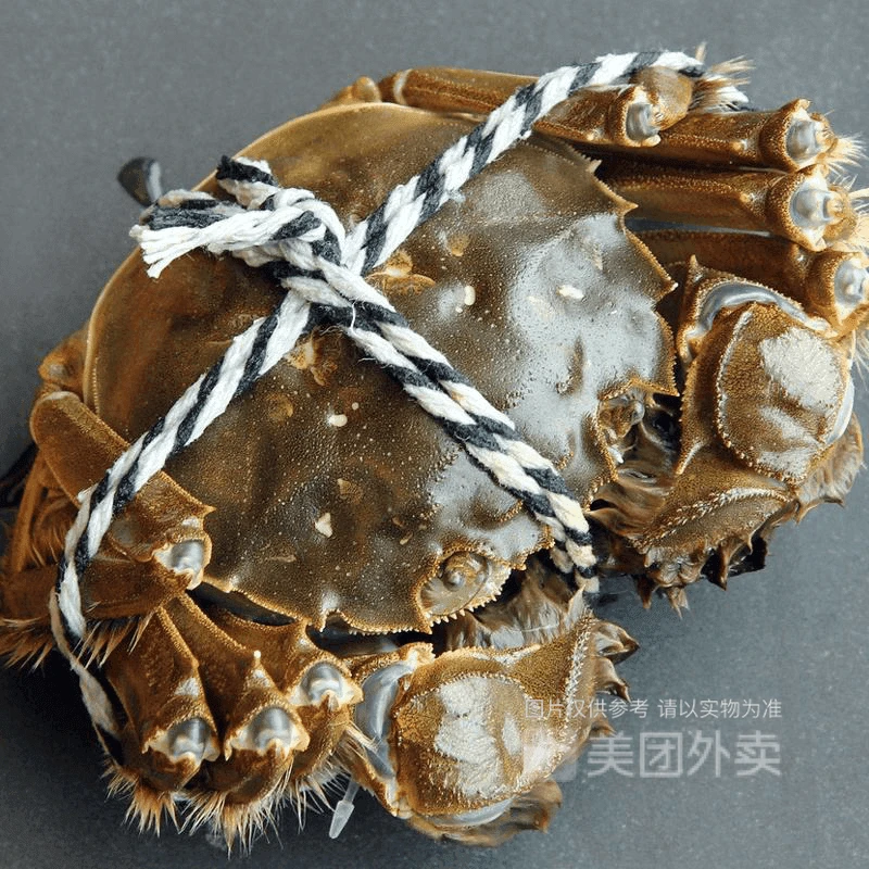 新鲜大闸蟹1.5~2两1只85g/只