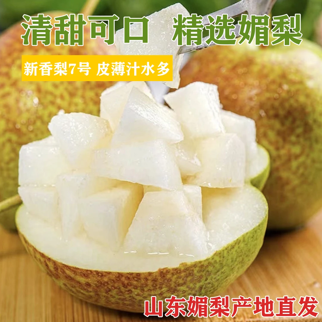 【媚梨之乡】山东媚梨7号原产地发货鲜嫩饱满皮薄清甜多汁小香梨