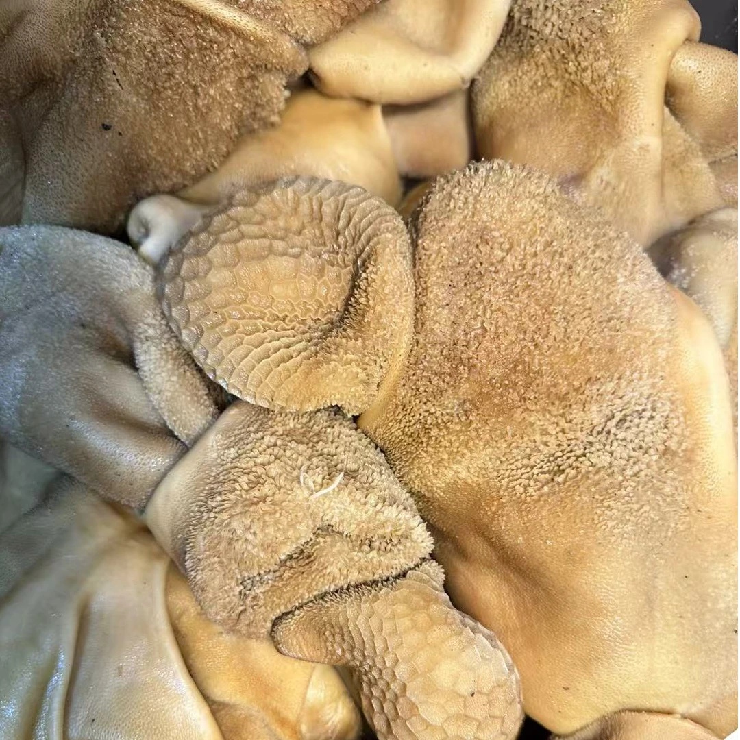 【羊肚子】新疆老回民古法现卤精修0添加熟食