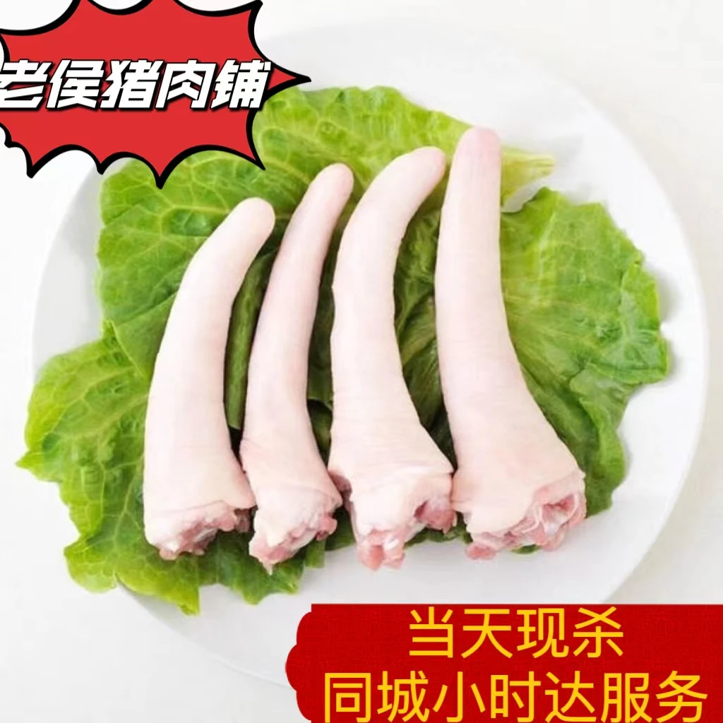 精品猪尾巴 短尾3斤