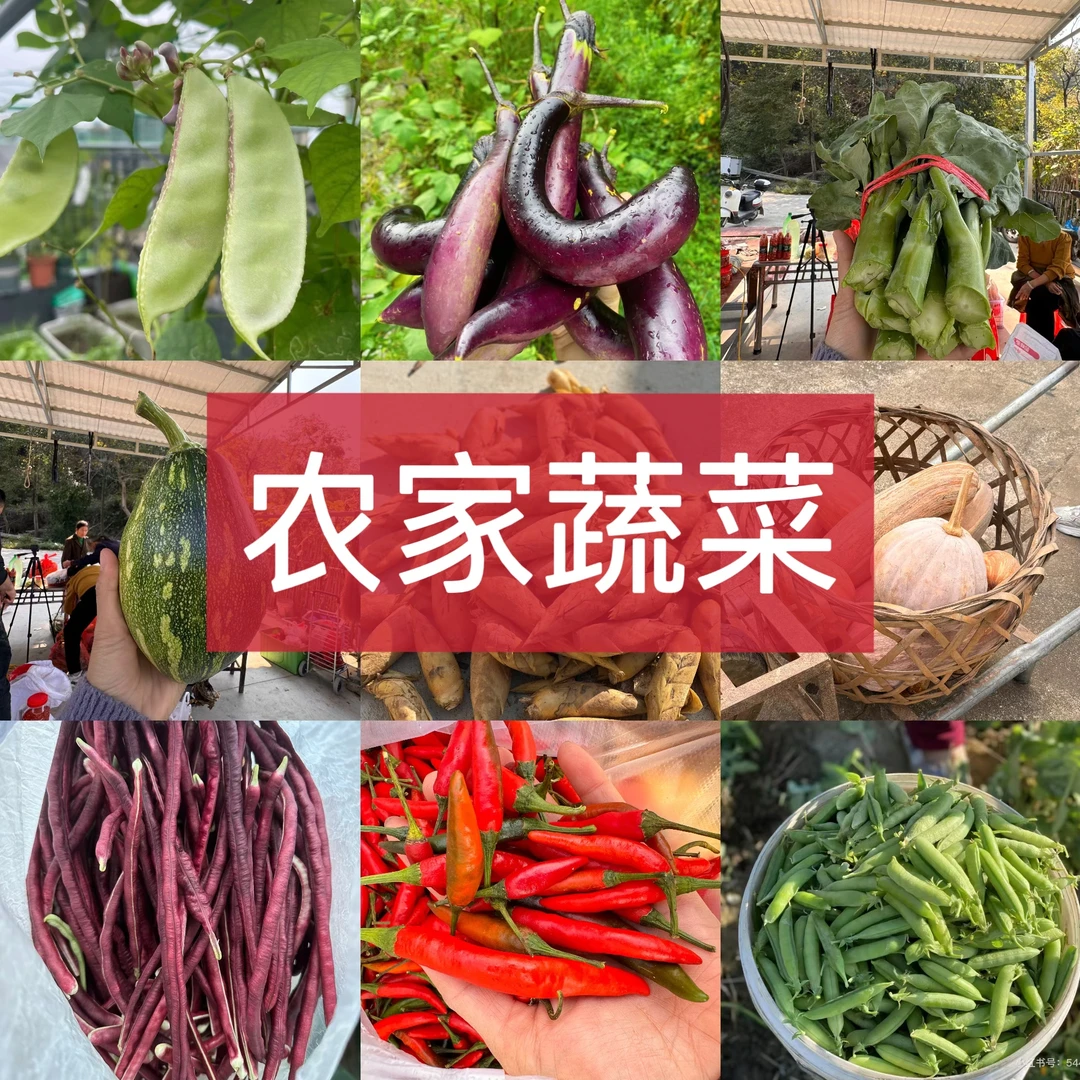2【农家蔬菜】绿色蔬菜