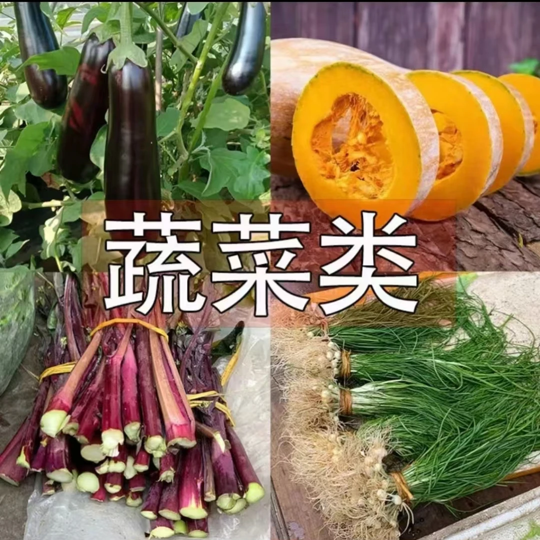 1【蔬菜类】应季蔬菜