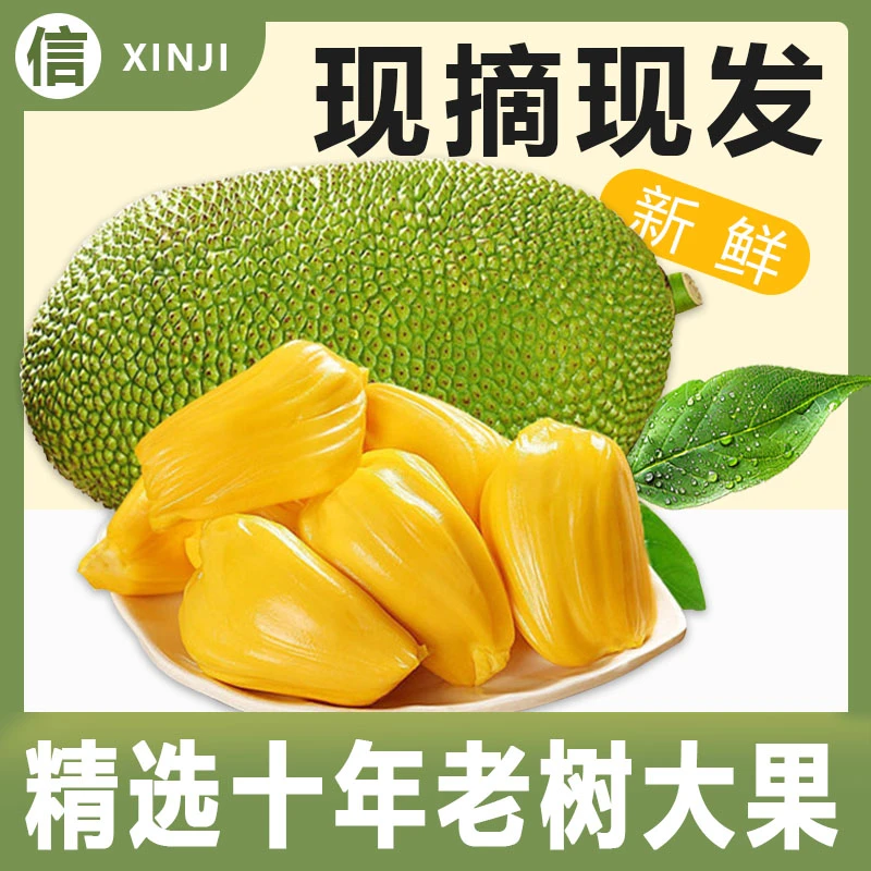 高州糖心菠萝黄肉干包新鲜热带水果一整个8-30斤老树波罗产地包邮