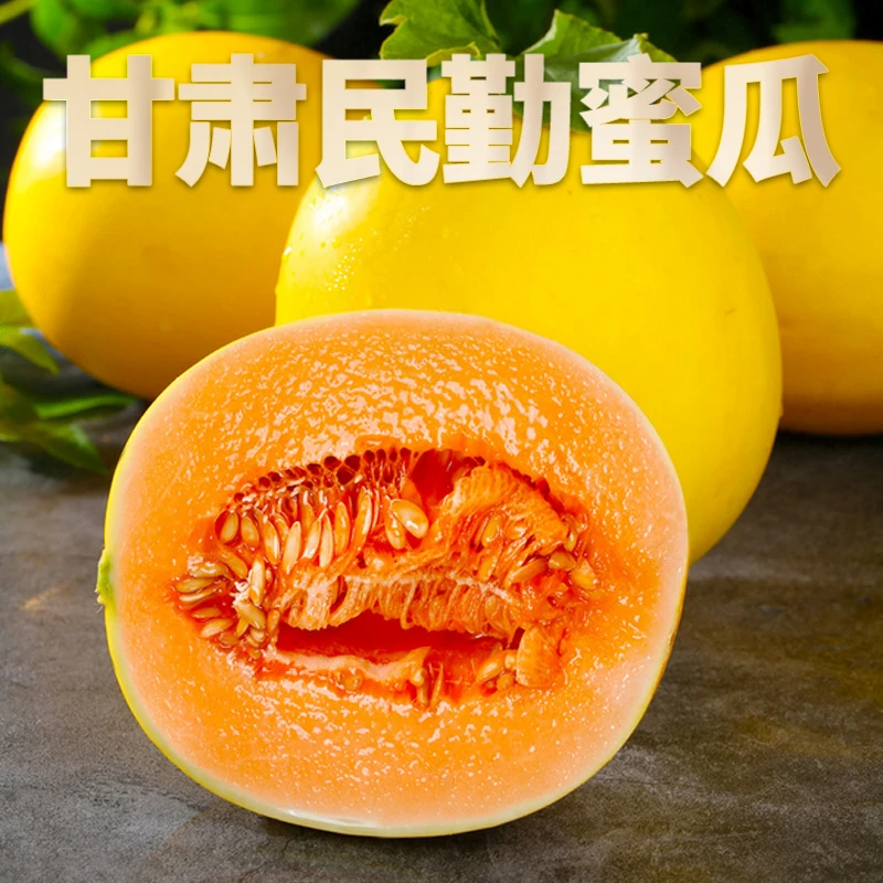 甘肃沙漠民勤蜜瓜口感绵沙软糯香甜多汁净重7-8斤装新鲜头茬
