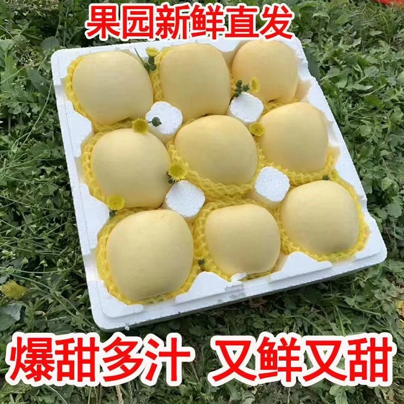 奶油富士苹果水果新鲜牛黄金白冰糖心苹果今日推奶香酥脆香脆食用