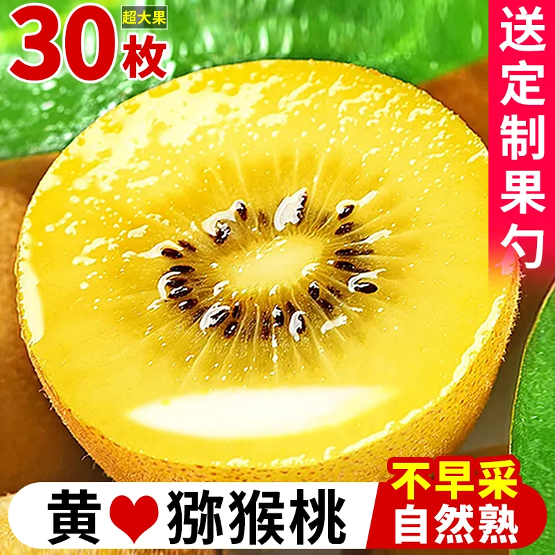 四川现摘黄心猕猴桃黄色黄金水果奇异果非红心绿心新鲜猕猴桃软糯