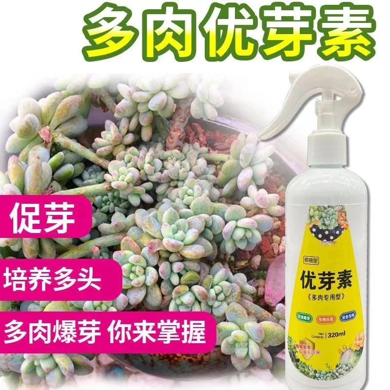 优芽素多肉专用叶插促芽催芽多肉爆芽素花盆家用肥料绿植物营养液