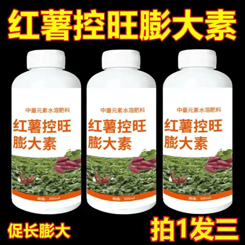 红薯专用膨大增产控制旺高产表面光滑大小均匀红薯增效