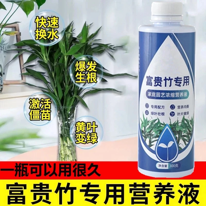 富贵竹专用营养液发财竹观音竹水培植物铜钱草绿植盆栽养花肥料