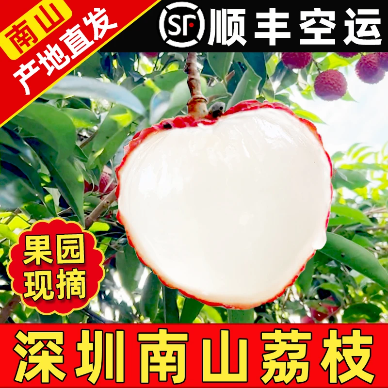 新鲜荔枝水果深圳南山荔枝糯米糍桂味荔枝果园现摘现发顺丰包邮