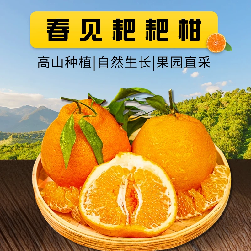 【春见耙耙柑】四川正宗优质鲜果5/8斤新鲜采摘发货香甜细腻多汁