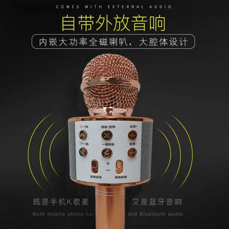 (外贸正品)欢乐唱麦克风