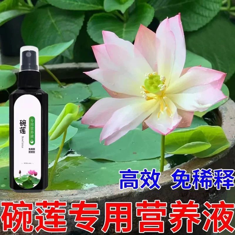 【厂家直发拍1发5瓶】碗莲专用营养液水培睡莲生长缓慢不发芽不开花