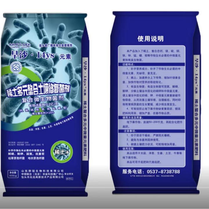 大蒜高产种植技术