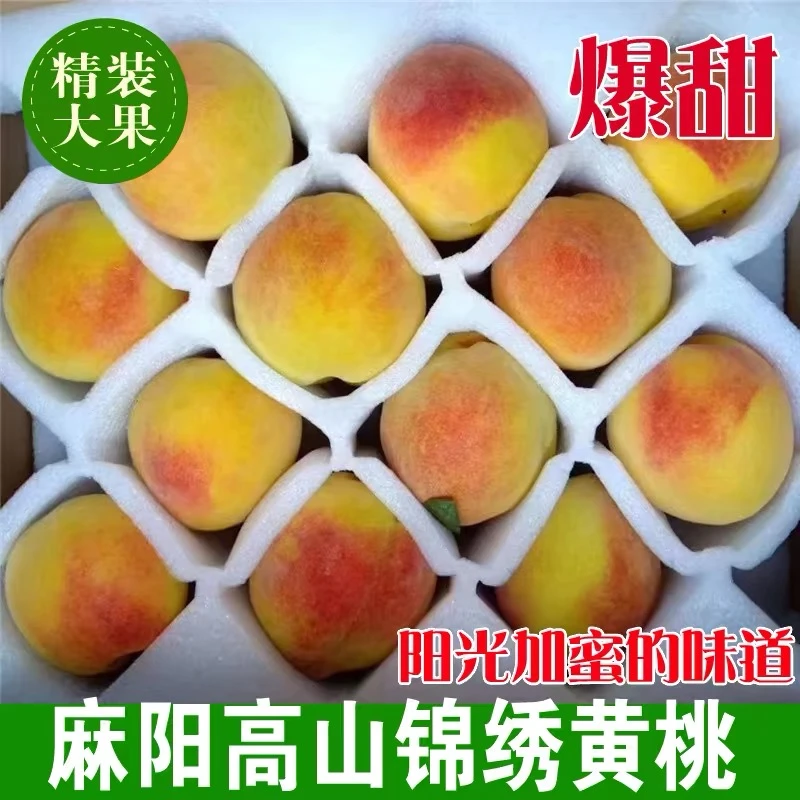 湖南怀化麻阳兰里高山锦绣黄桃现摘超甜特产香甜皮薄清甜包赔多汁