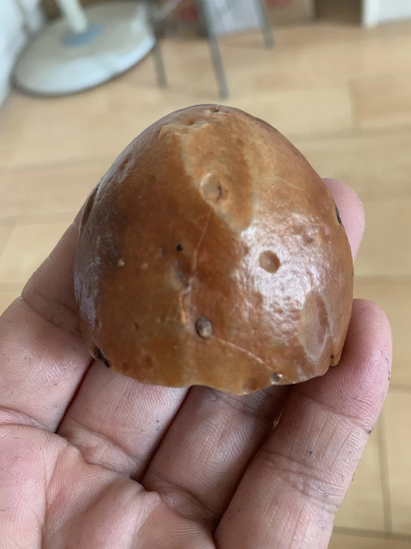 阿拉善老皮象形精品：戈壁石