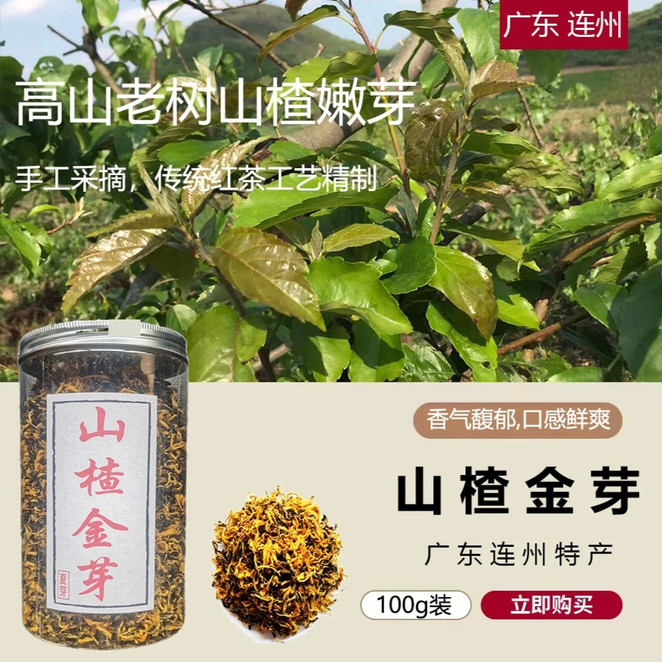 沉香红叁号山楂金芽30-50g罐装精选春芽沉香醇味口感鲜香温润耐泡