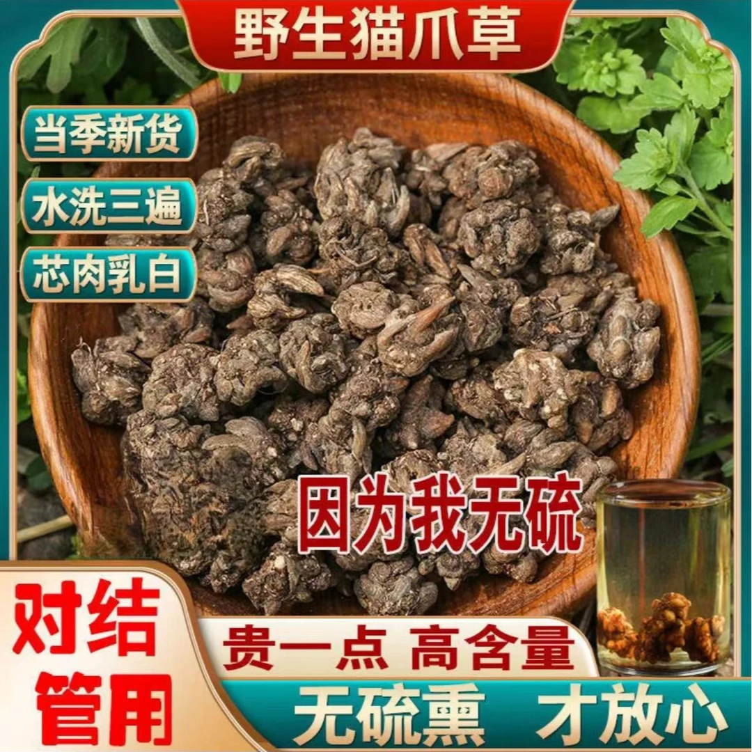 正宗野生猫爪草 中草水洗新鲜干货猫抓草20g可搭配夏枯草散结姜