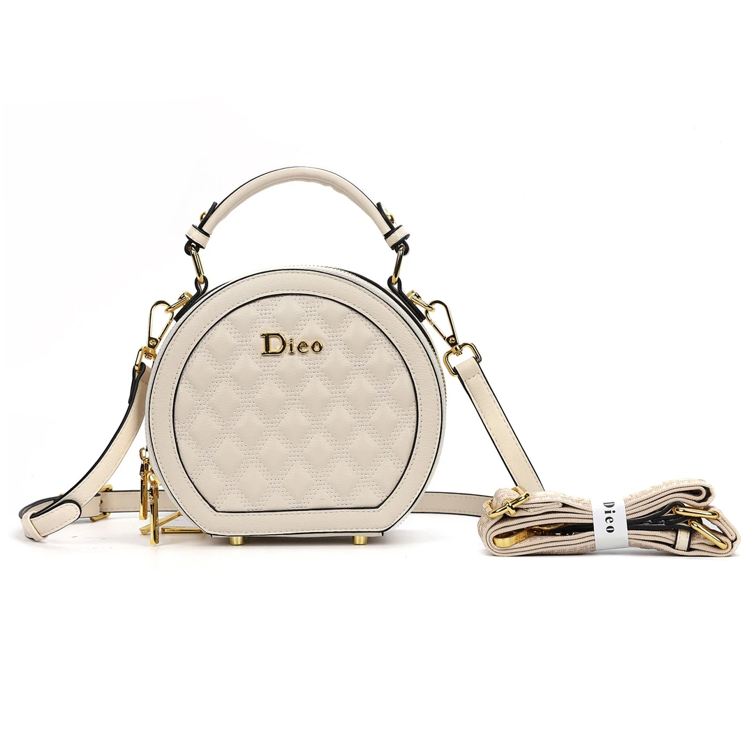 全新未使用 DIEO 2024款气质高奢时尚洋气手提小圆饼包苹果包D09