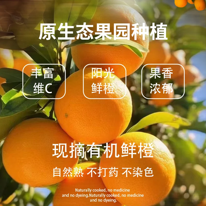 赣南脐橙3斤赣南早熟脐橙江西赣州橙子新鲜水果应季水果产地直发