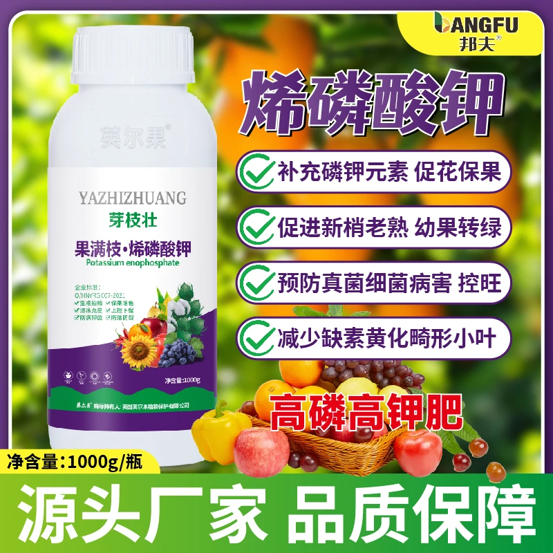 烯磷酸钾生根控梢防病抑菌溃疡克星上控下促花芽分化保果增色增甜