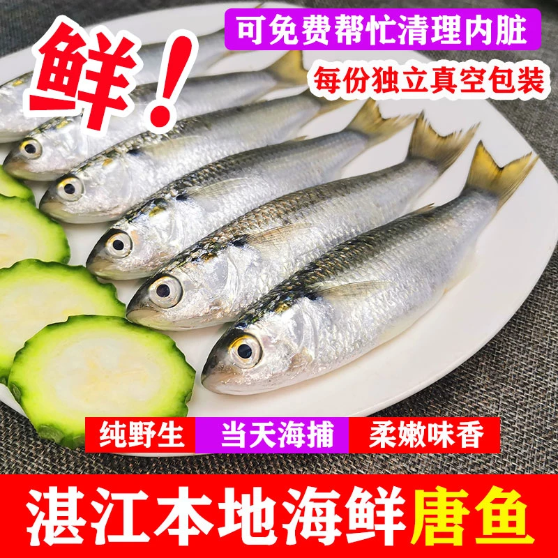 湛江水产，现称新鲜鱼临时链接