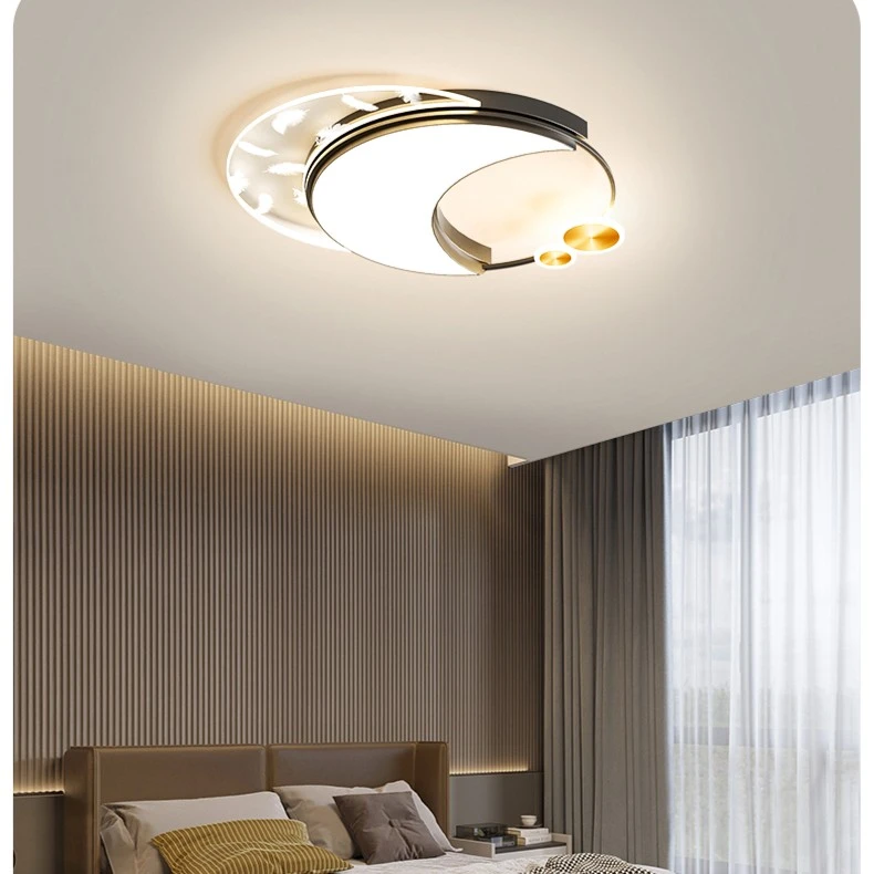 RZ现代简约卧室吸顶灯网红羽毛个性房间书房led吸顶灯具580B