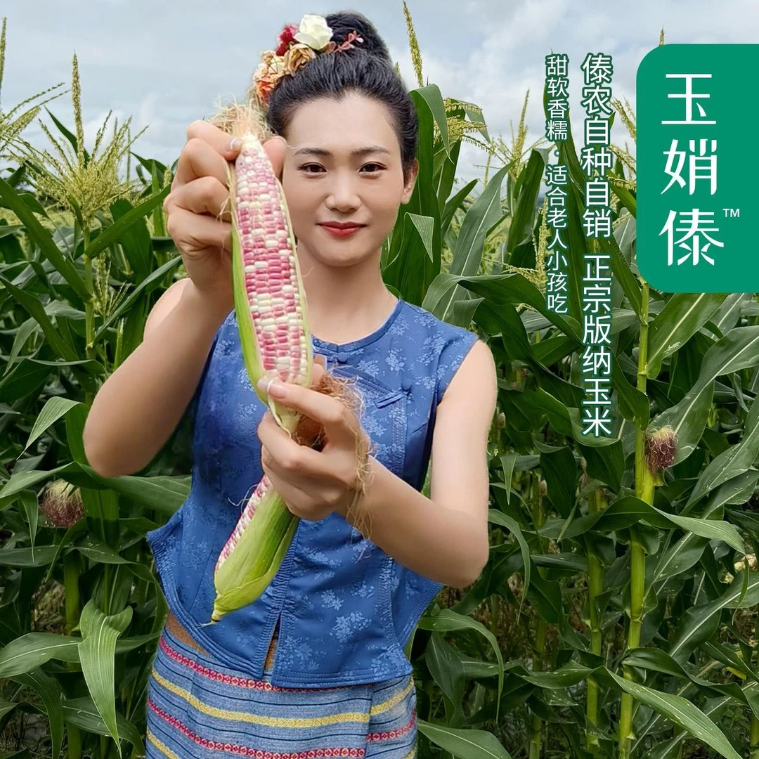 云南西双版纳新鲜拇指甜花糯小玉米手指小花糯低脂代餐真空新鲜