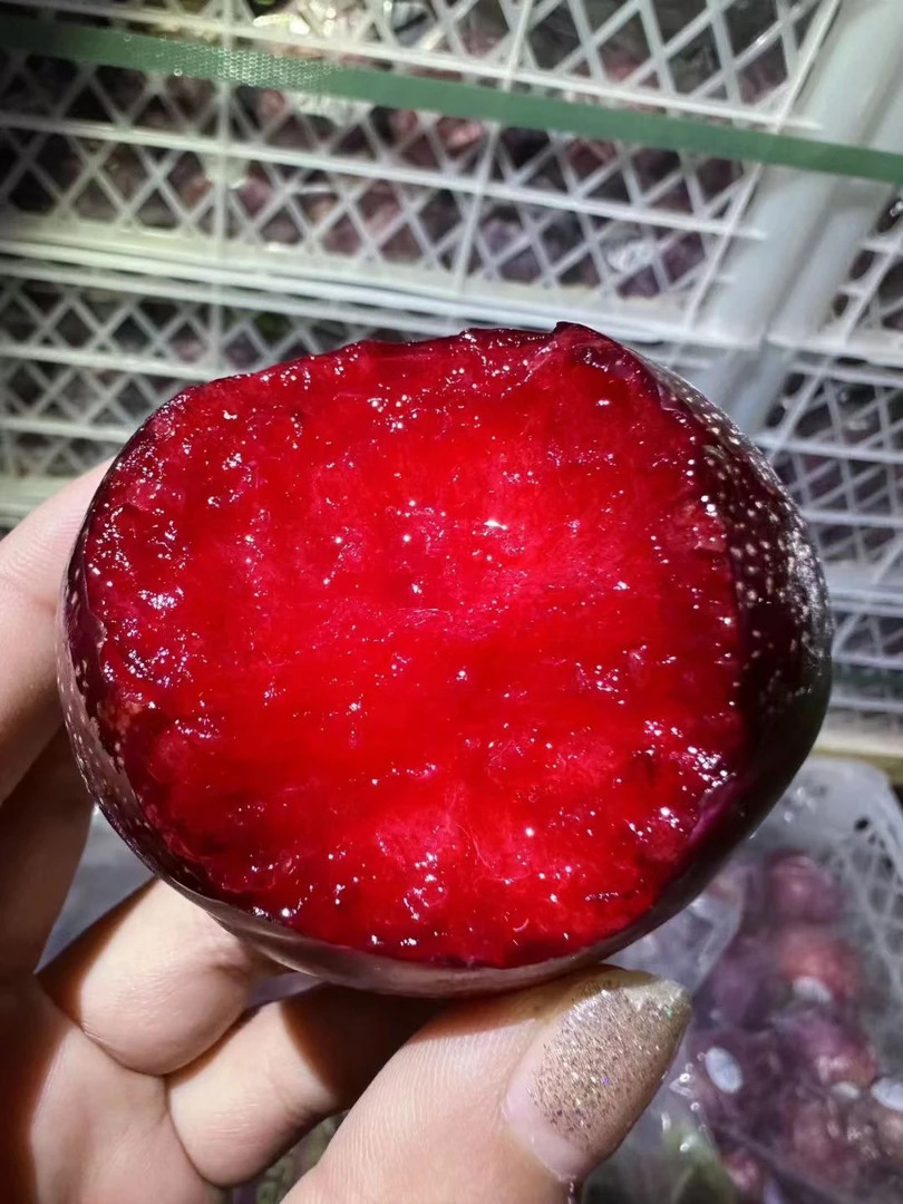 澳大利亚凤凰李恐龙蛋新鲜当季水果包邮