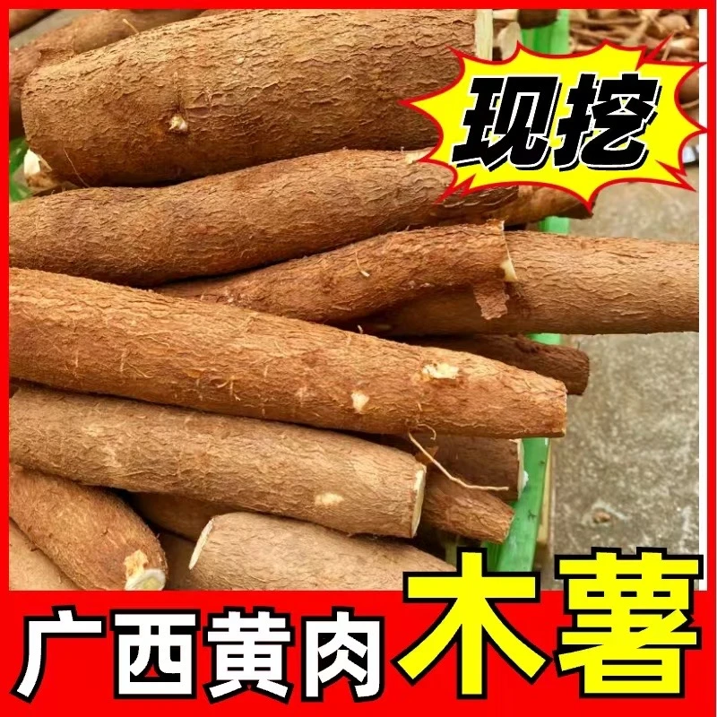 广西特产农家自种黄肉木薯当季新鲜现挖糖水店同款蛋黄木薯