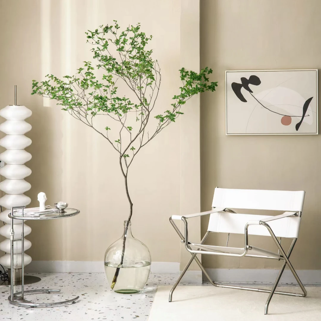 【注云荷】A级日系进口吊钟T  高端小众花材水培鲜切一物一拍