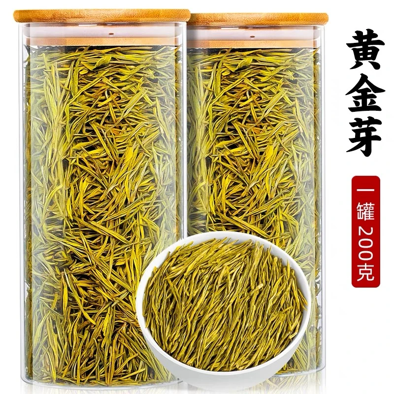 漠禾2024新茶黄金芽茶叶正宗春茶高山绿茶