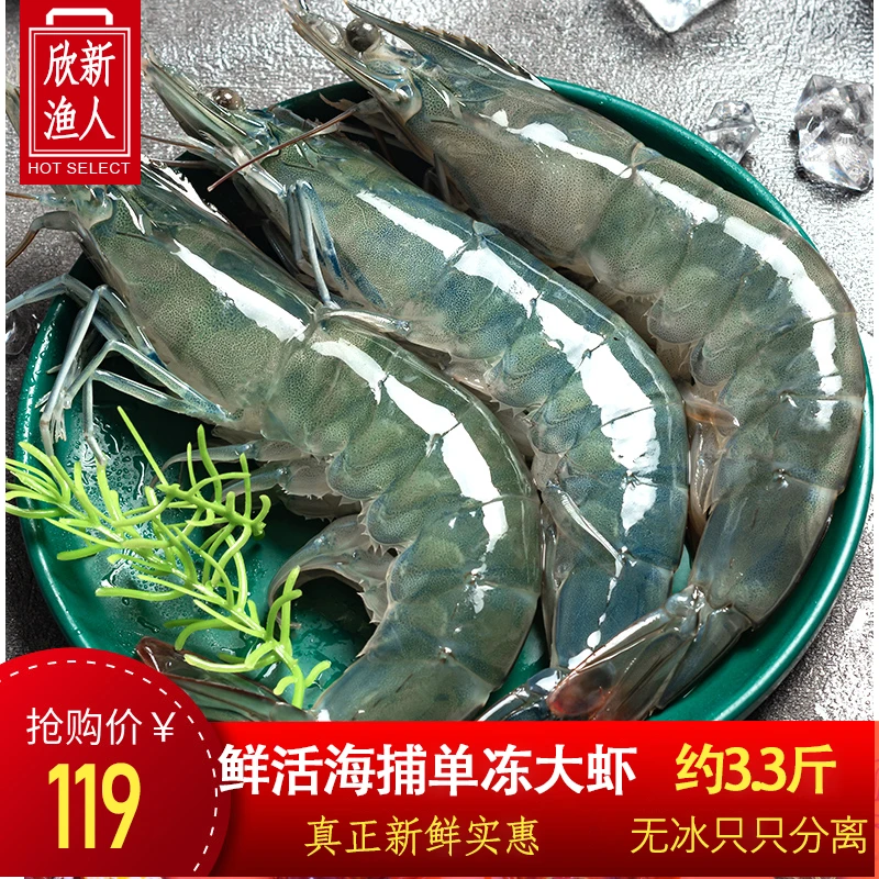 【3.3斤海洋大虾】3040海水大虾鲜活超大基围虾青虾白虾海虾海鲜